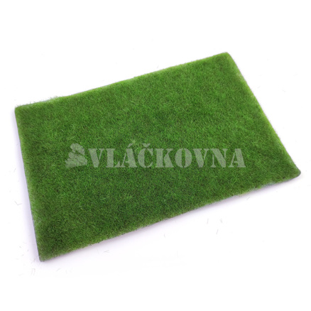 Mokřad tmavý